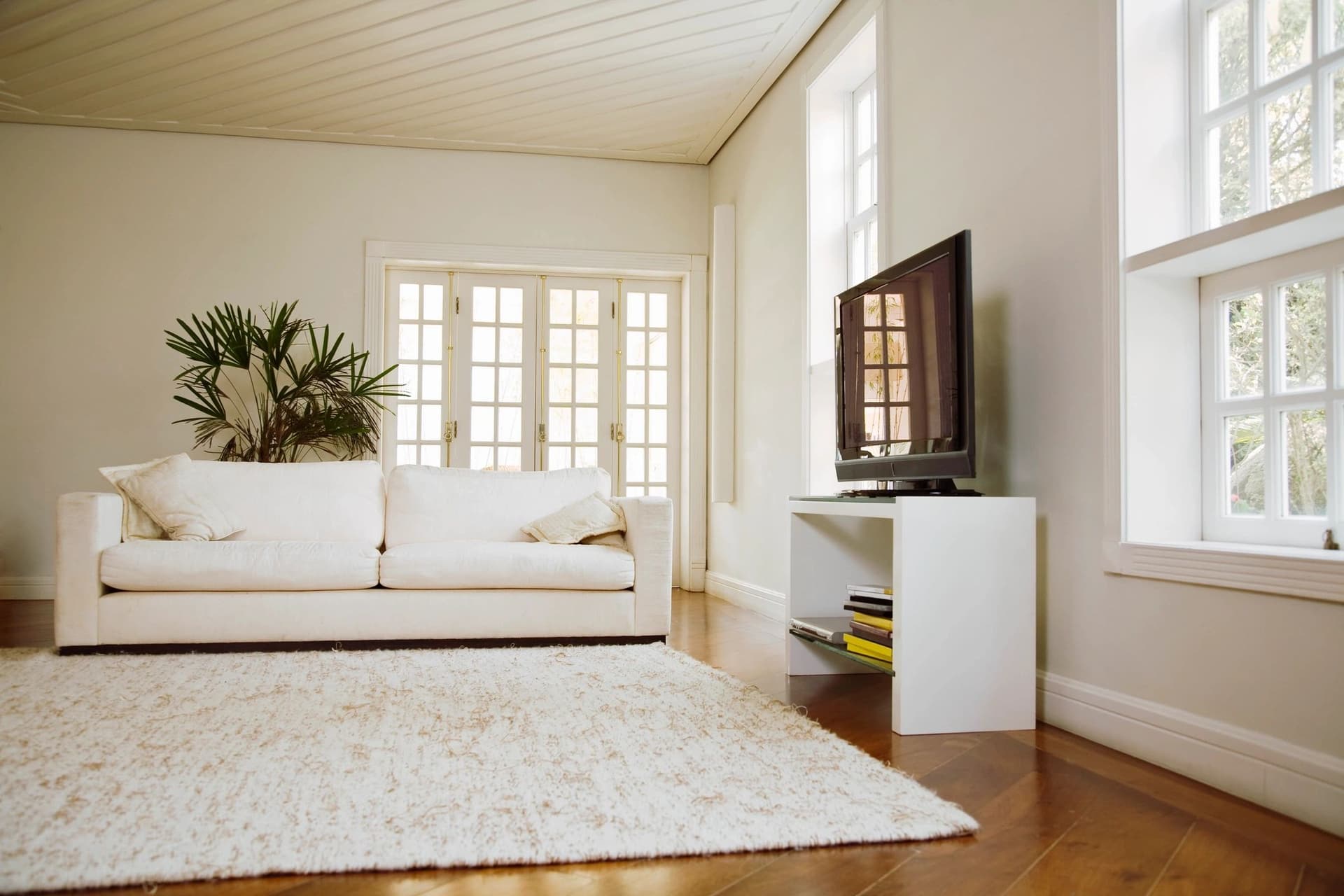 Bright living room with freshly cleaned carpet and sofa