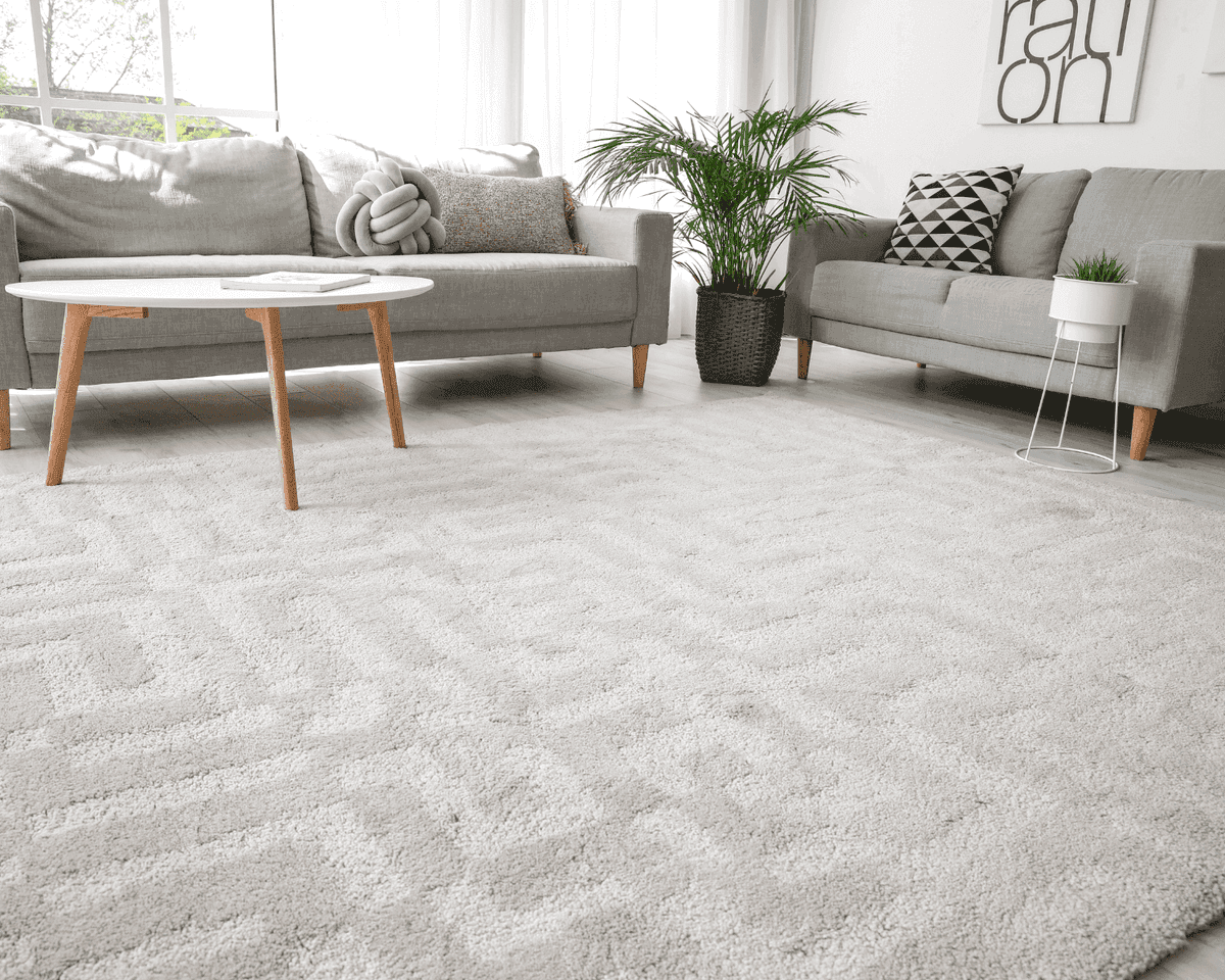 Rug Cleaning